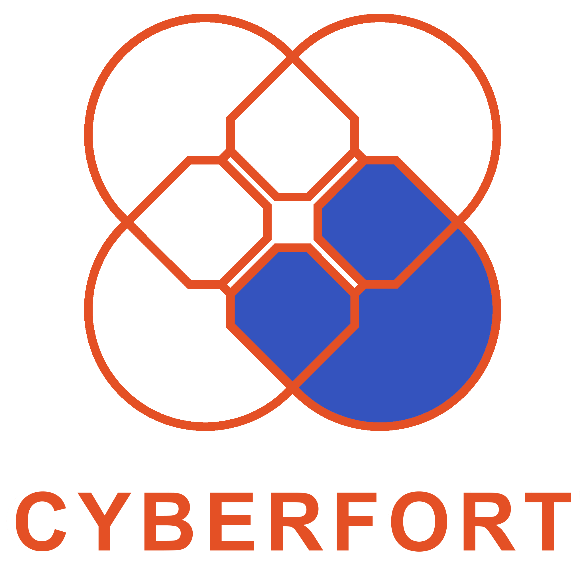 The Cyberfort Group